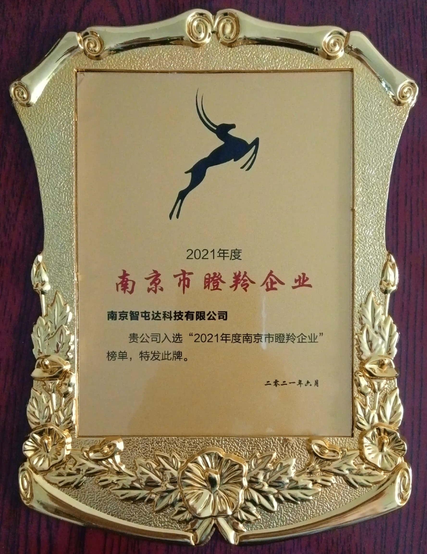 我公司入选“2021年度南京市瞪羚企业”